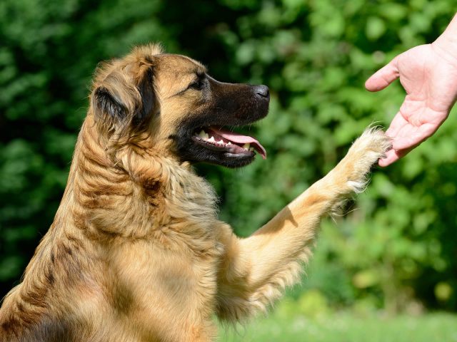 wp-content/uploads/sites/2/2019/07/post_11-640x480.jpg
