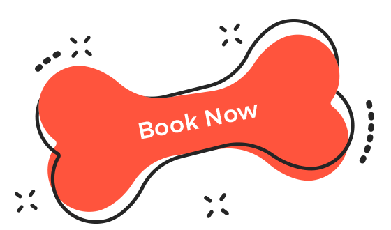 wp-content/uploads/sites/2/2019/08/book_now.png