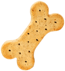 wp-content/uploads/sites/2/2019/08/cookie.png