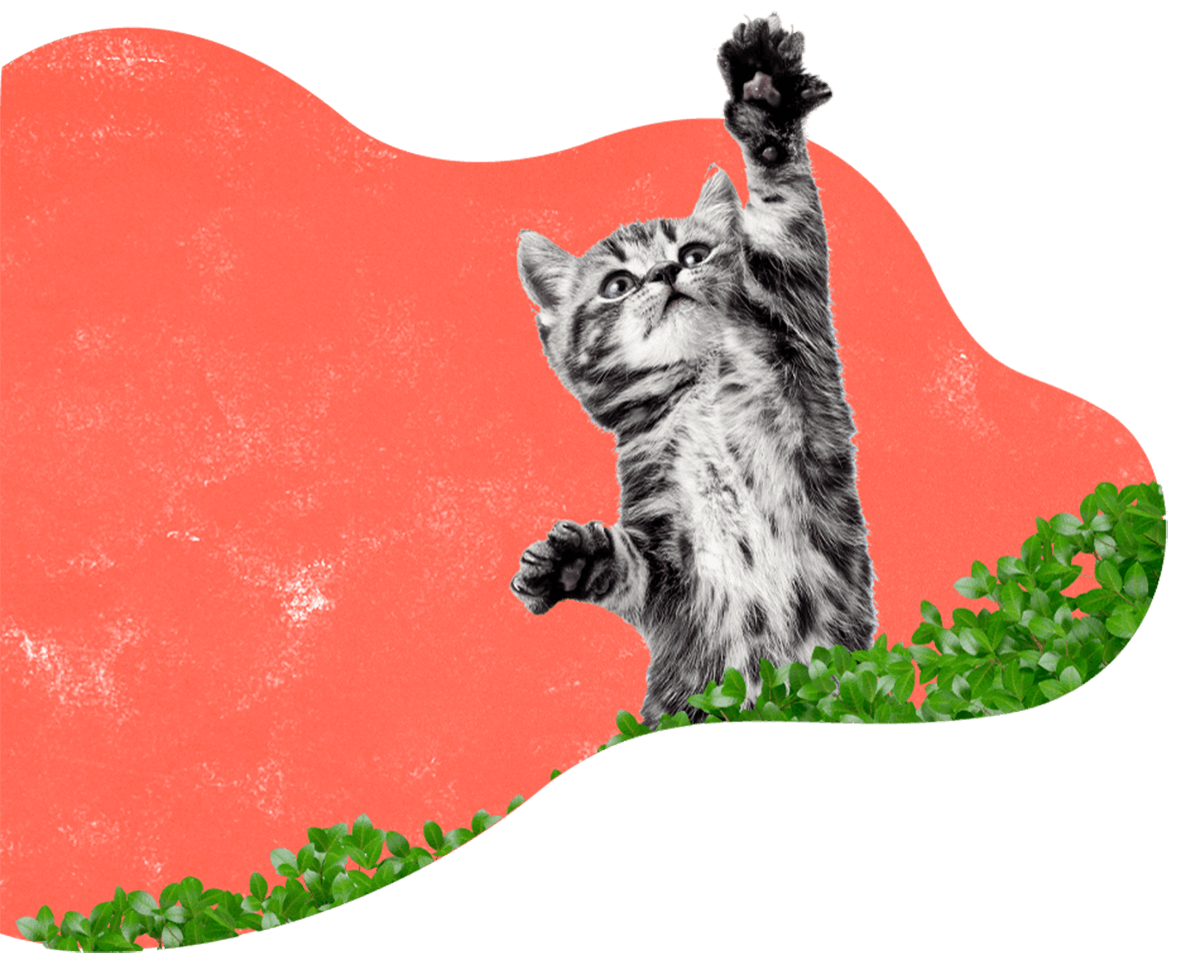 wp-content/uploads/sites/2/2019/08/hero_image_12.png